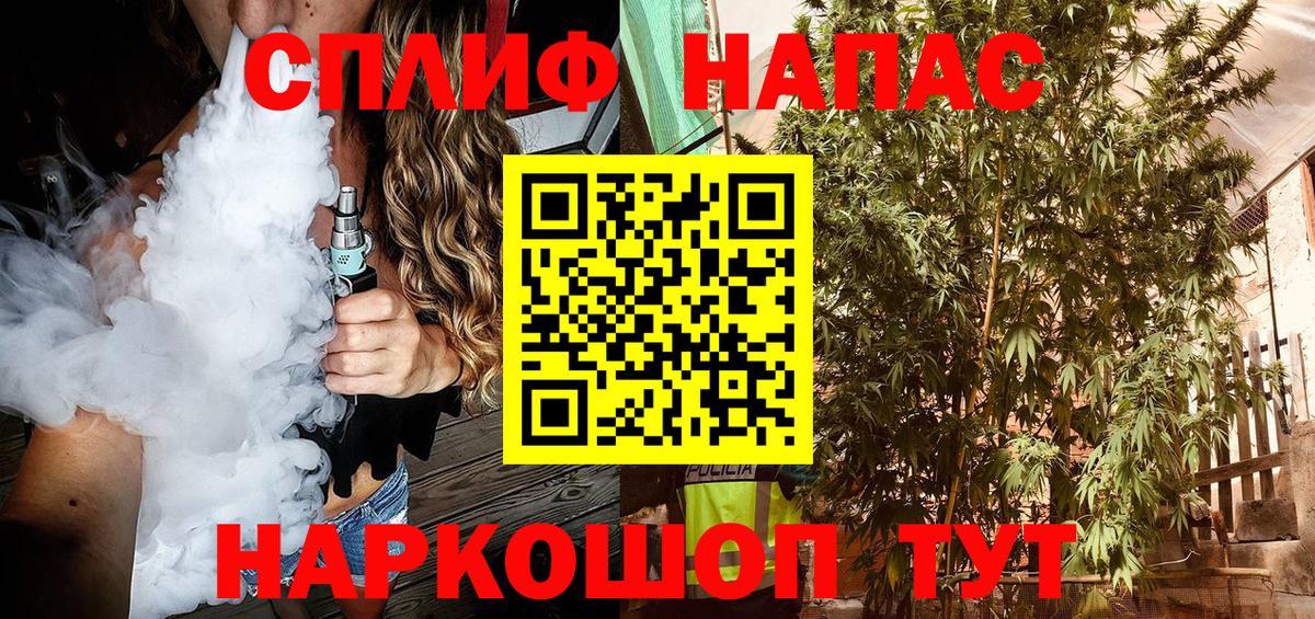 Канабис ГИДРОПОН Курчатов